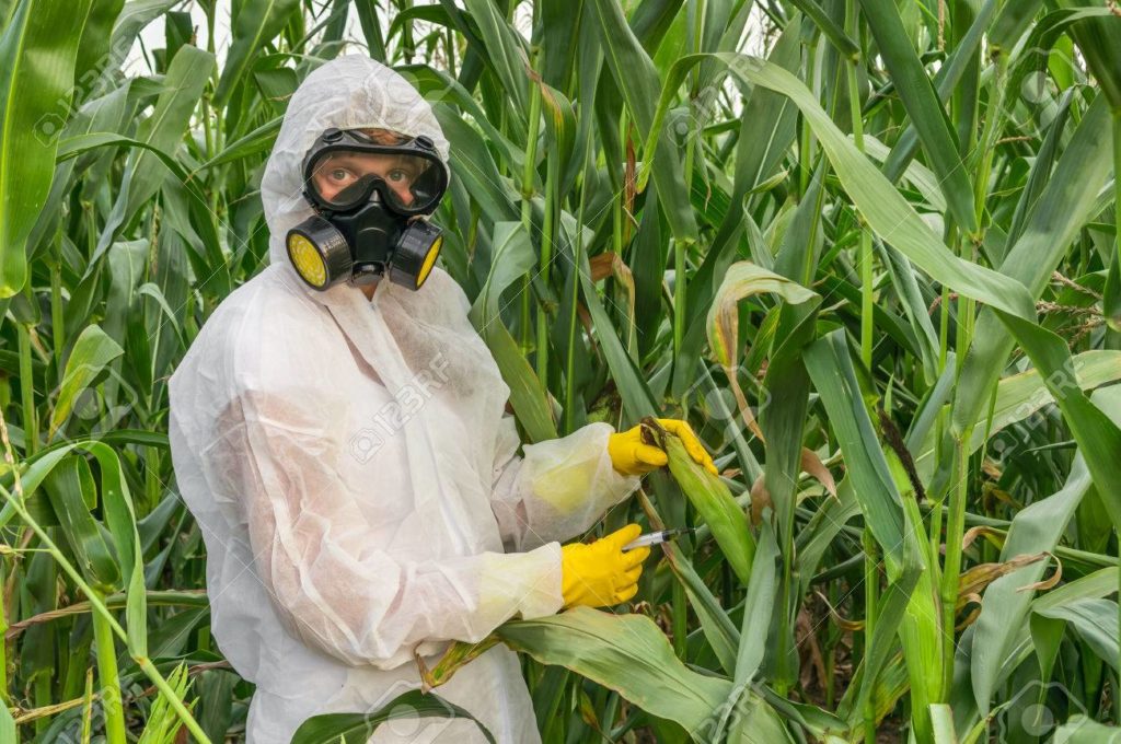 Trabalhador rural protegendo contra o virus corona - COVID-19